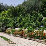 Apartman Phoenice's